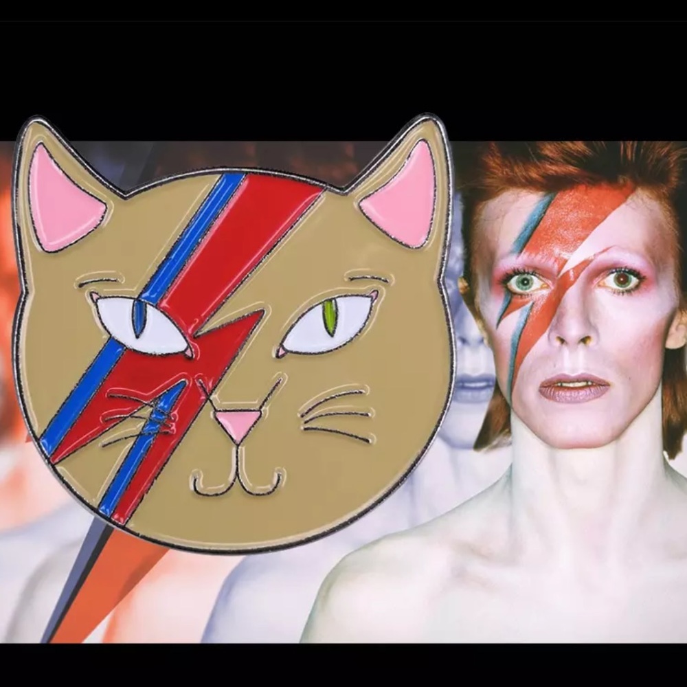 💥Bundle 3 for $25💥 David Bowie cat pin